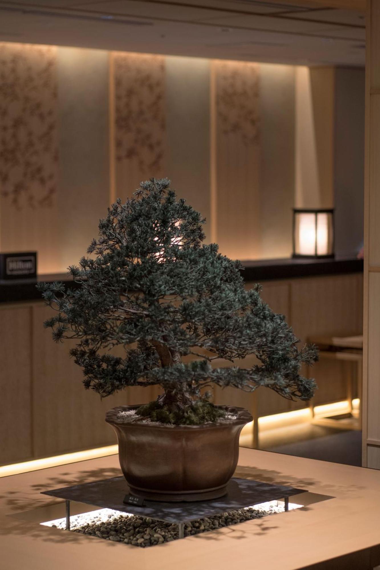 Hotel Senren Kyoto Higashiyama Kiyomizu Eksteriør billede